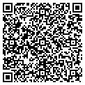 QR code with Signco contacts