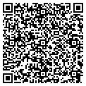 QR code with Modis contacts