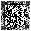QR code with Modis contacts