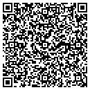 QR code with Professional Systems Consultants contacts