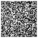 QR code with Pundit Systems Corp contacts