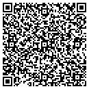 QR code with Pundit Systems Corp contacts