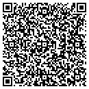 QR code with C & J Auto Sale Inc contacts