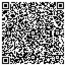 QR code with Pure Image Cleaning contacts
