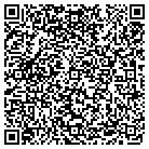 QR code with Professional Pool & Spa contacts