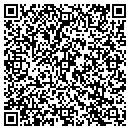 QR code with Precision Handywork contacts