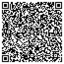 QR code with Precision Home Repair contacts