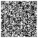 QR code with Professional Surface contacts