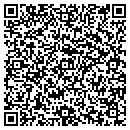 QR code with Cg Investing Inc contacts