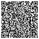 QR code with Boston Logic contacts