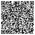 QR code with Magic contacts