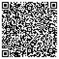 QR code with Modis contacts