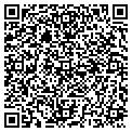 QR code with Modis contacts