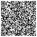 QR code with Pro Integration Inc contacts