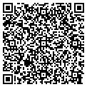 QR code with Torqt contacts