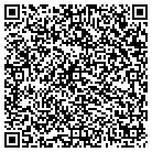 QR code with Bridge Technology Systems contacts