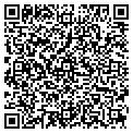 QR code with Dave's contacts