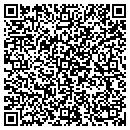 QR code with Pro Windows Plus contacts
