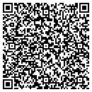QR code with Terrys Fixit contacts