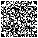 QR code with Cybernetic Solutions contacts