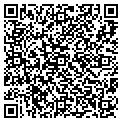 QR code with Timing contacts