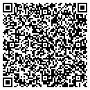 QR code with Pyramis Technologies contacts