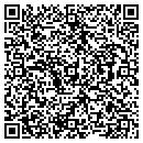 QR code with Premier Turf contacts