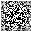 QR code with Precision Auto Sales contacts