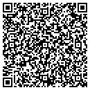 QR code with Century 21 Pinnacle contacts