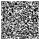 QR code with Texas Gutter contacts