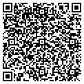 QR code with Modis contacts