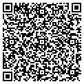 QR code with Modis contacts
