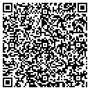 QR code with Public Auto Credit contacts