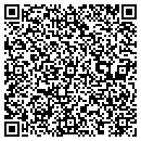 QR code with Premier Data Systems contacts