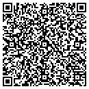 QR code with Catalyst Systems L L C contacts