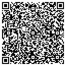 QR code with Birnbaum Consulting contacts