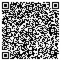 QR code with Modis contacts