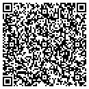 QR code with Techsys Consulting Inc contacts