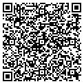 QR code with Netlec contacts