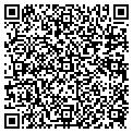 QR code with C Tee's contacts