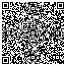 QR code with Pyle's Auto Sales contacts