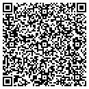 QR code with Practical Software Inc contacts