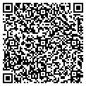 QR code with Yapmo contacts