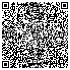 QR code with Blue Skies Real Estate contacts