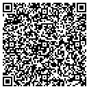 QR code with Cyboticx LLC contacts