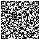 QR code with Pro One Drywall contacts