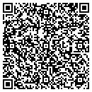 QR code with Proofstep Systems LLC contacts