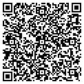 QR code with Projex contacts