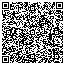QR code with Public Auto contacts