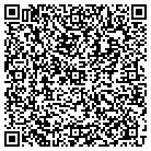 QR code with Plainview Airport (Va94) contacts